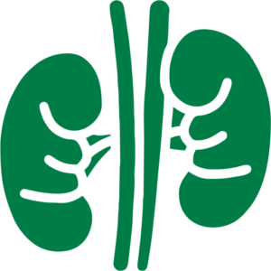 A collection of supplements by EastPrime Care, designed to support kidney function, aid detoxification, maintain electrolyte balance, and promote overall health and wellness when taken daily