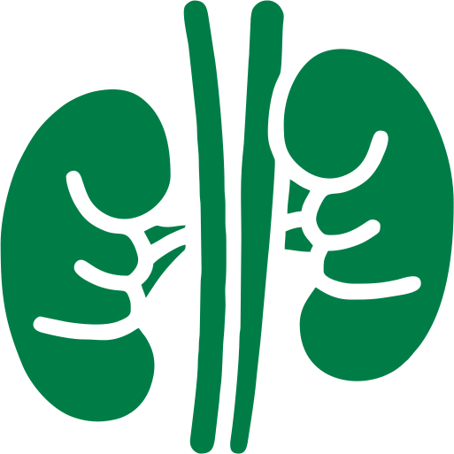 kidney health