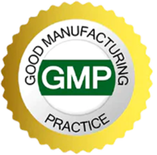 A collection of best GMP-certified supplements including vitamins, minerals, and herbal capsules, designed to support immunity, energy, and overall wellness when taken daily