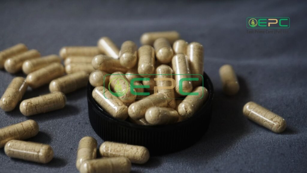 Best Multivitamin Tablets for Weakness and Fatigue in Pakistan Gaxry multivitamin Adsan D calcium vitamin D3 East Prime Care supplements energy boost