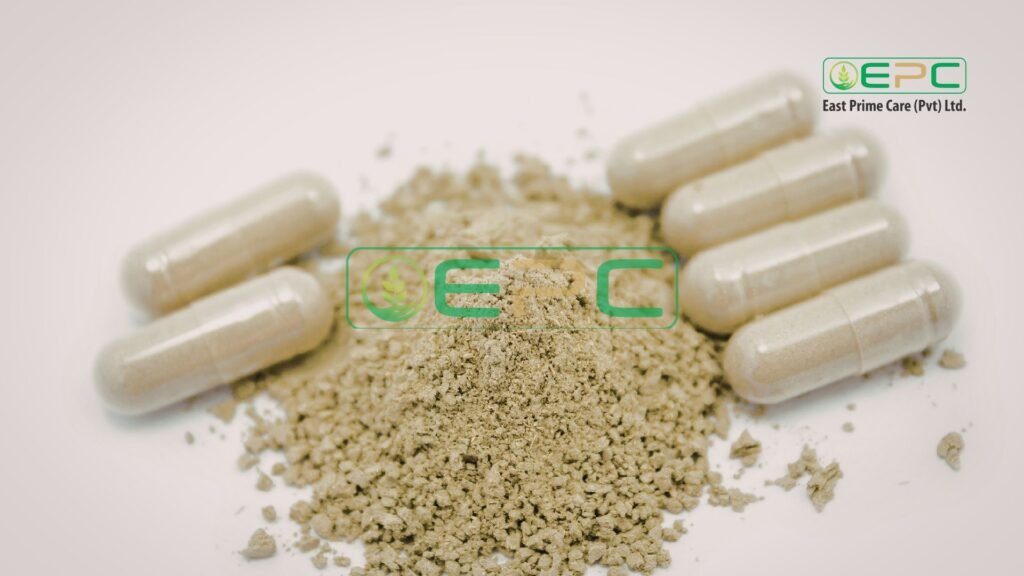 Best Multivitamin for Men and Women in Pakistan Gaxry multivitamin Adsan D calcium vitamin D3 East Prime Care energy immunity supplements